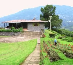 4x250g Café En Grain Bio La Esperanza - Cafés Lugat -Cafe Lux Magasin cafe grains esperanza colombie 3