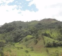 4x250g Café En Grain Bio La Esperanza - Cafés Lugat -Cafe Lux Magasin cafe grains esperanza colombie 5