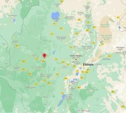 4x250g Café En Grain Bio - Ethiopie Moka Nekemte - CAFES LUGAT -Cafe Lux Magasin cafeengraincafeslugatethiopie