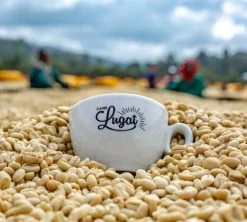 1 Kg Café En Grain Le Dark'n Sweet - Cafés Lugat -Cafe Lux Magasin cafeengraincafeslugatmarque