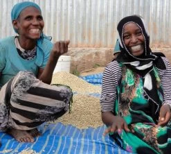 250 G- Café En Grain Dambi Uddo - LE PIANTAGIONI DEL CAFFE -Cafe Lux Magasin cafeengrainlpdcdambiuddo1