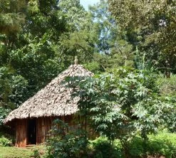 250 G- Café En Grain Dambi Uddo - LE PIANTAGIONI DEL CAFFE -Cafe Lux Magasin cafeengrainlpdcdambiuddo3