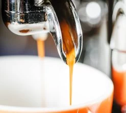 1 Kg Café En Grain Purissima - Perléo Espresso -Cafe Lux Magasin cafeengrainperleoespressopurissimaextraction