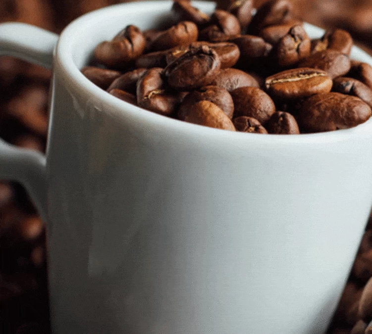 1kg Café En Grain Intermezzo - SEGAFREDO 2 1kg Café En Grain Intermezzo - SEGAFREDO – Image 2