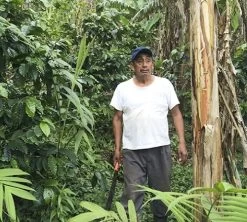 Café En Grains Bio : Mexique - Sueño - Décaféiné à L'eau - 1Kg - Cafés Lugat -Cafe Lux Magasin decafeine altura mexique 4