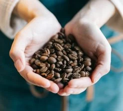 Café En Grains Brûlerie Du Cantin - Mélange Dégustation 100% Arabica - 250gr -Cafe Lux Magasin lifestyle grain 2