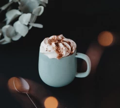 Mug Terra Sauge - 33 Cl - PYLANO -Cafe Lux Magasin pylano tasse terra lifestyle