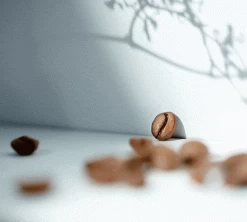 500g Café En Grain Bio Moka D'Ethiopie - CAFES RICHARD -Cafe Lux Magasin specialtycoffee